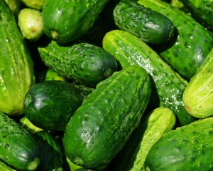 10 Tips for Growing Cucumbers