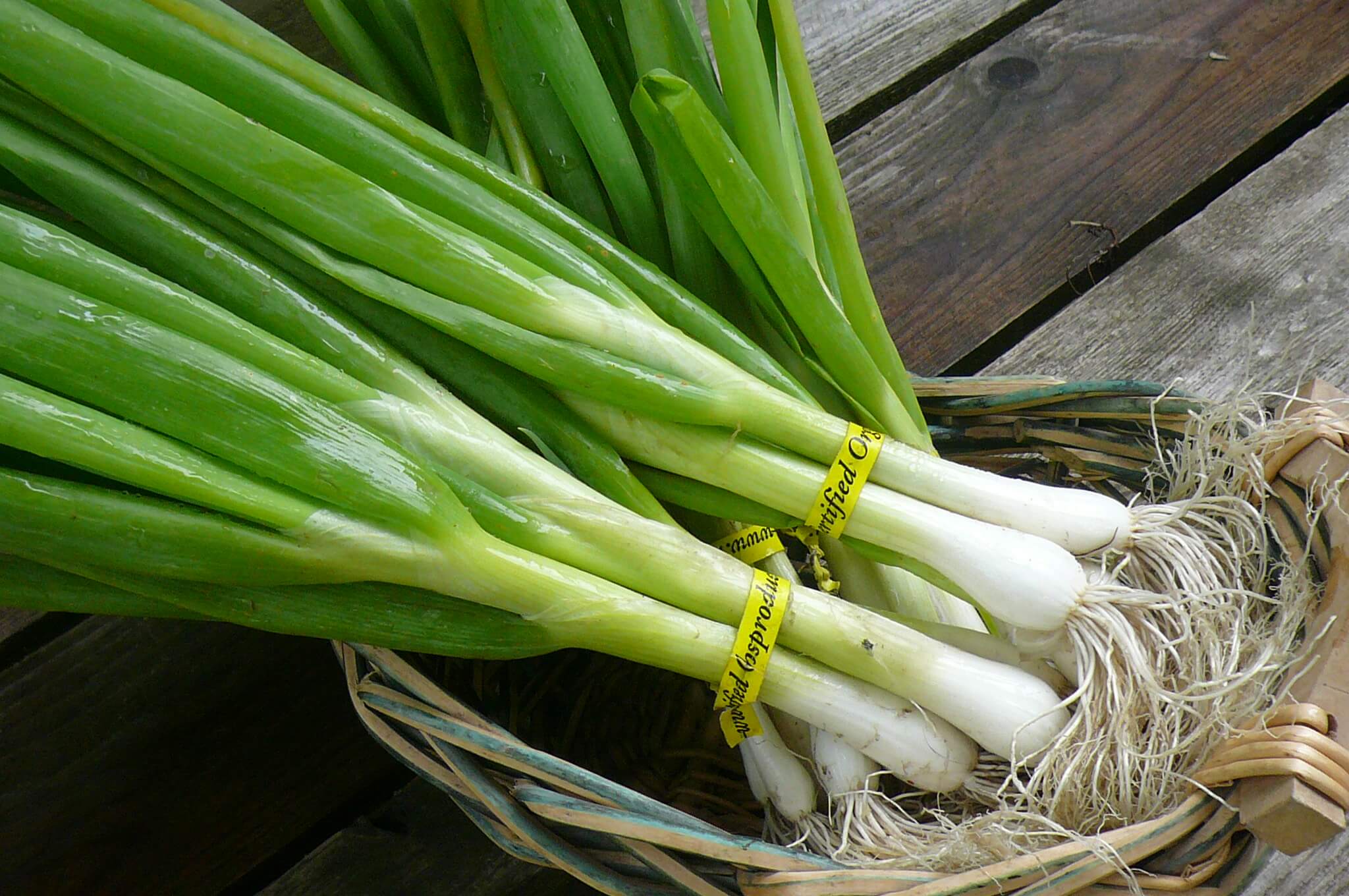 green onions