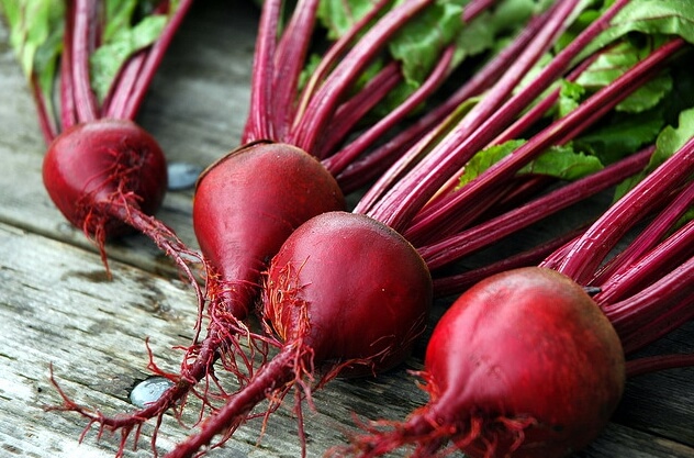 growing beets in shade