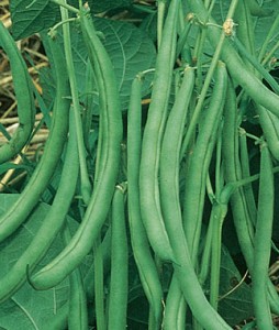 green beans