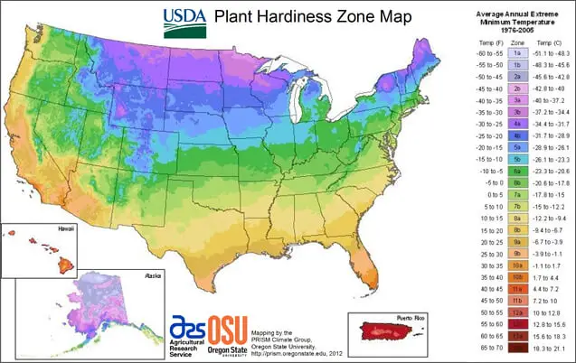 usda planting zones