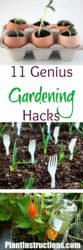 11 Gardening Hacks You Need To Know Right Now - Plant Instructions