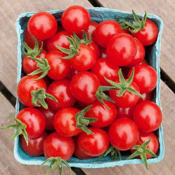 cherry tomatoes in basket