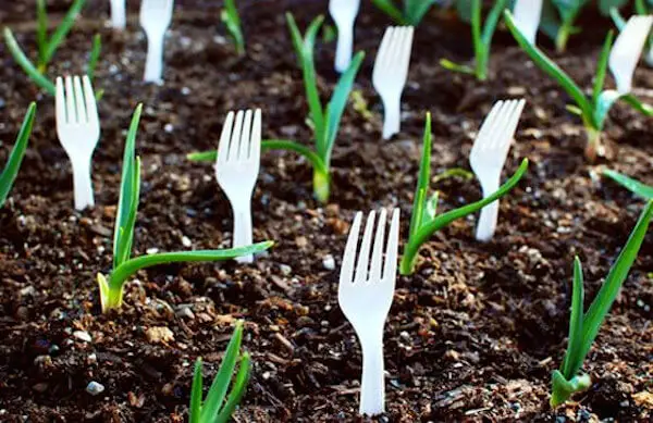 forks in garden