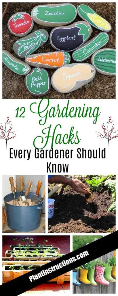 clever gardening hacks