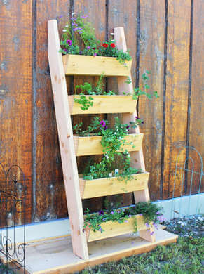 ladder vertical garden