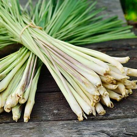 lemongrass