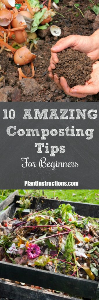 Composting Tips