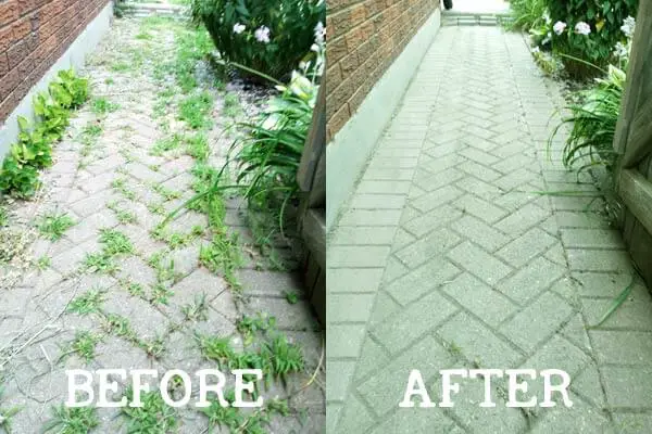 before and after weeds