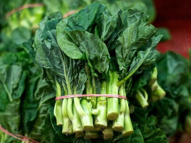 chinese broccoli harvest