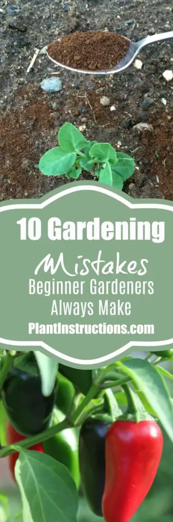 gardening mistakes