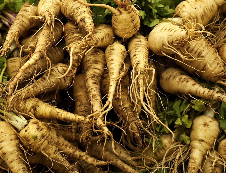 parsnip roots