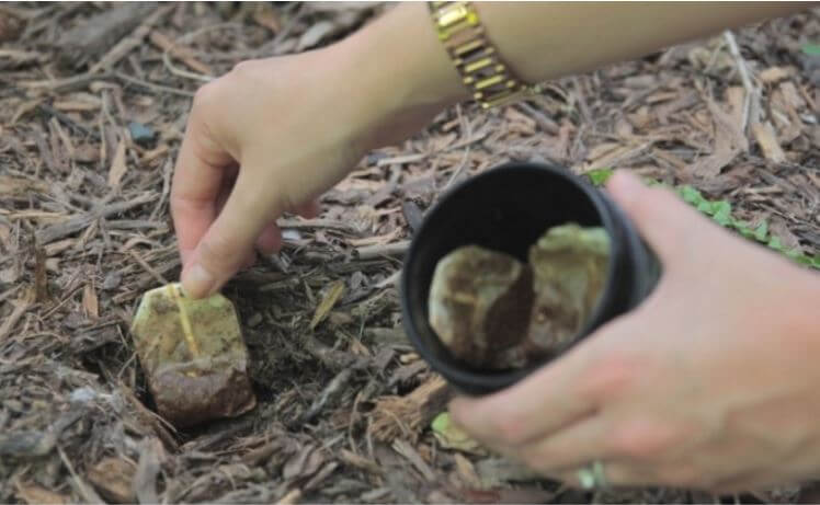 tea bags for garden