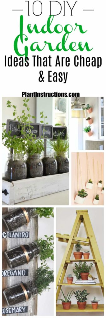 Indoor Garden Ideas