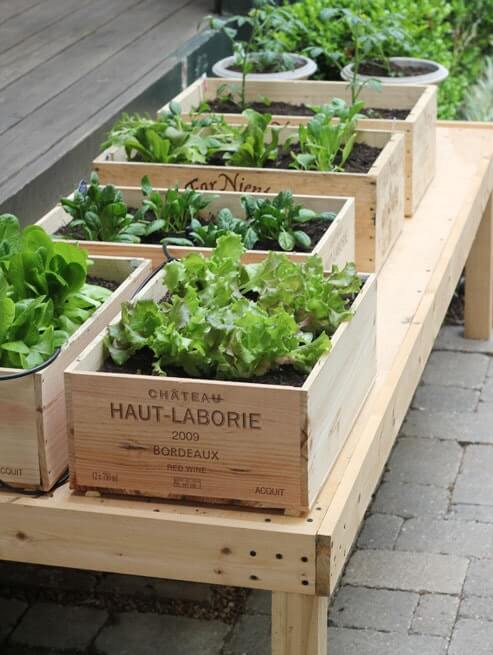 boxed herbs