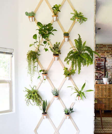 indoor trellis