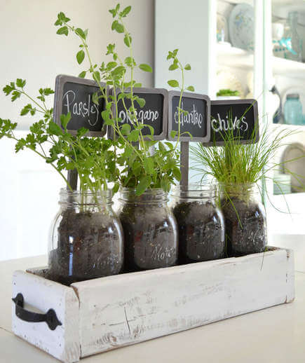 mason jar garden