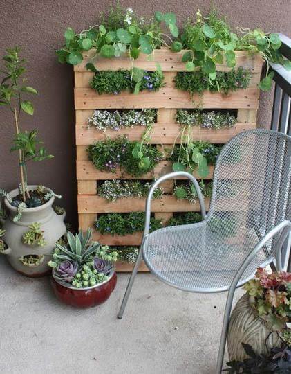 pallet garden