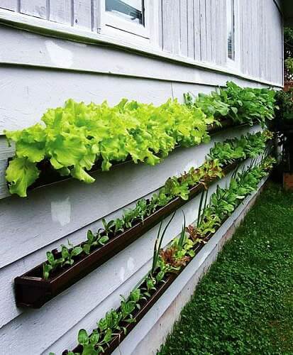 space saving garden