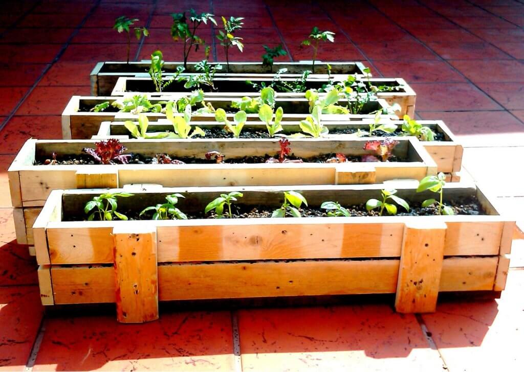 boxed herb garden