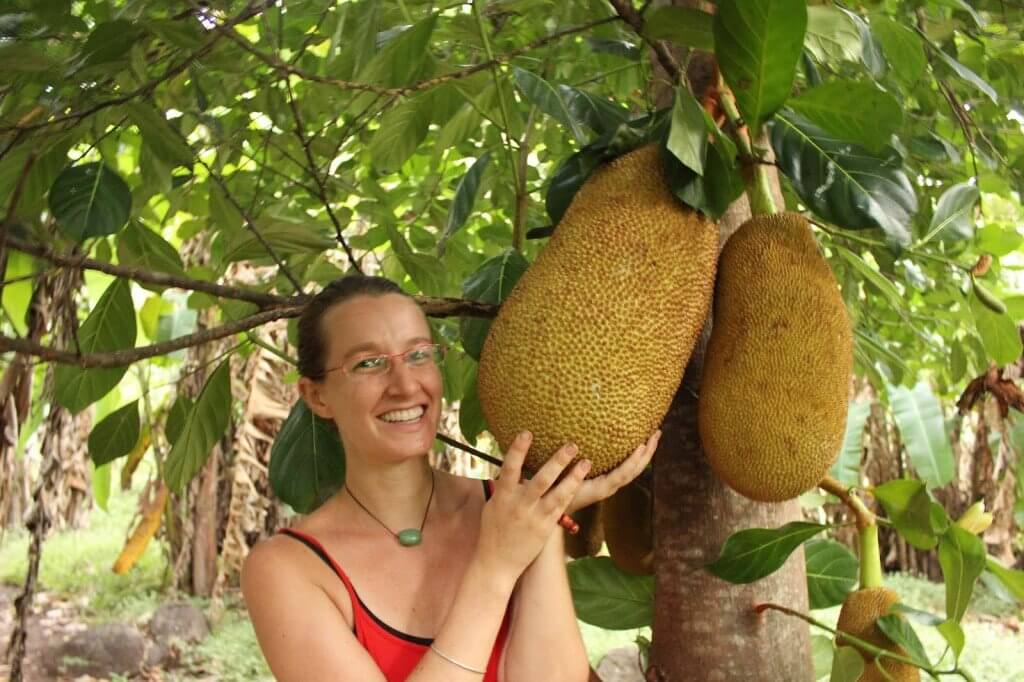 jackfruit