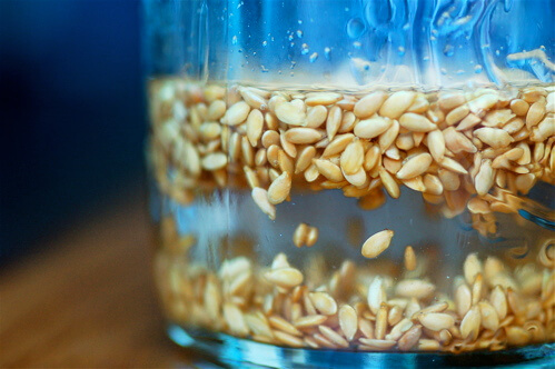 soaking seeds