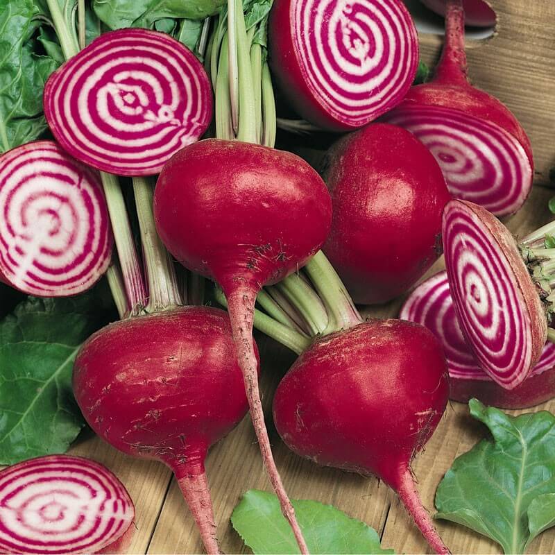 chioggia beets