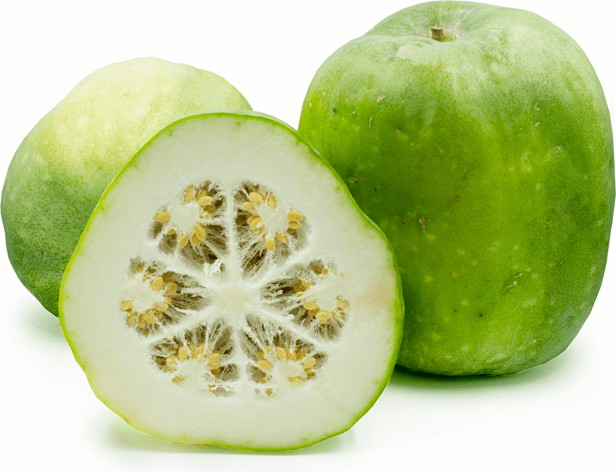 insides of winter melon