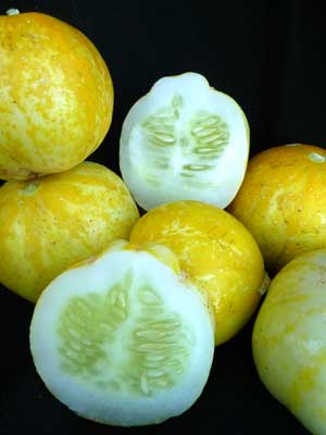 lemon cucumber