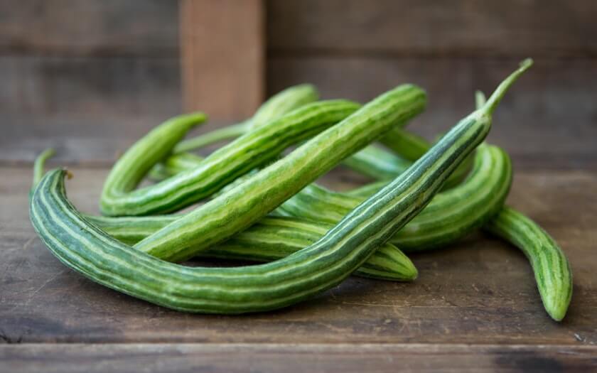 painted serpent cucumber