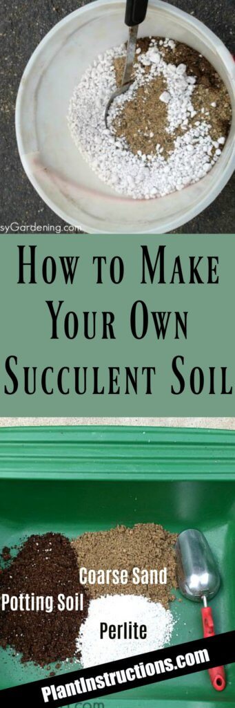 How to Make Succulent Soil - Plant Instructions