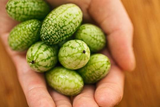 mini cucumbers