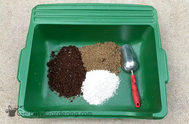 succulent soil ingredients