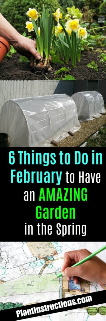 February Gardening