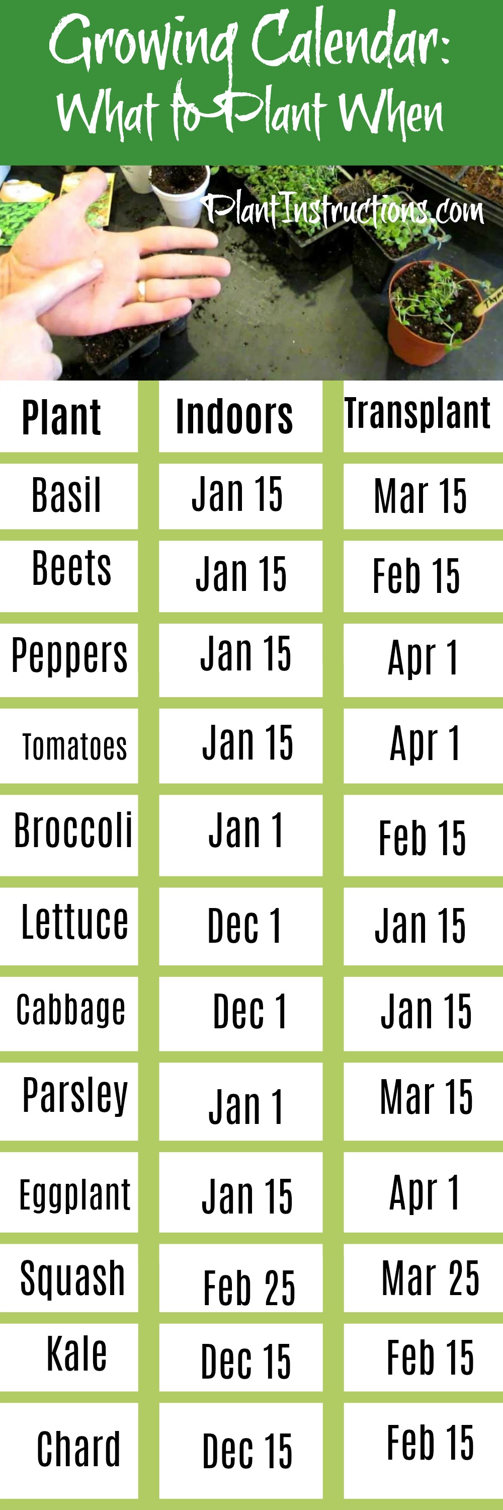 Growing Calendar What to Grow When Plant Instructions