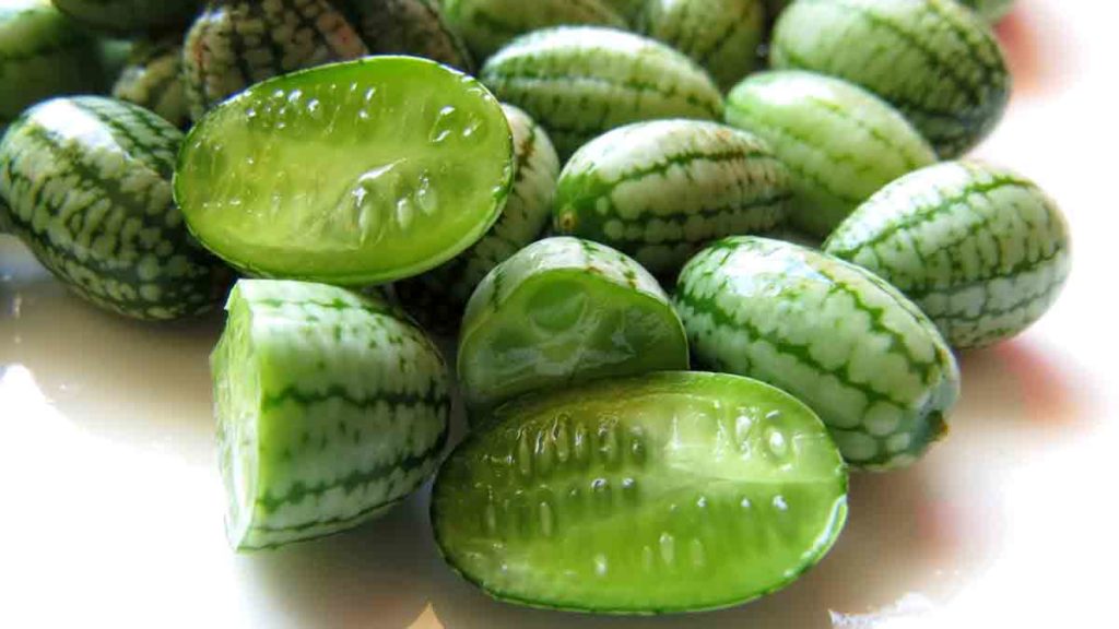 cucamelons