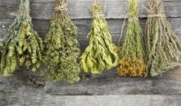 How to Dry Herbs – a DIY Guide to Drying Fresh Herbs