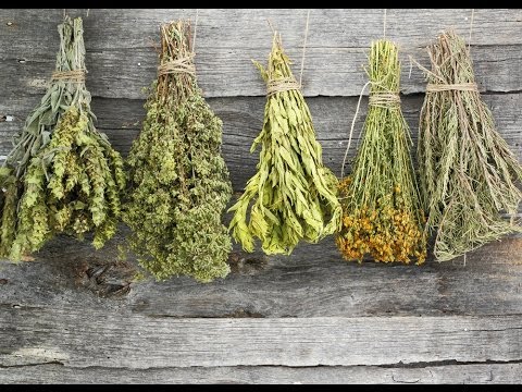 dried herbs