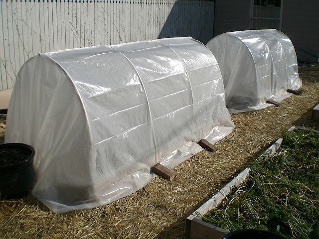 hoop house