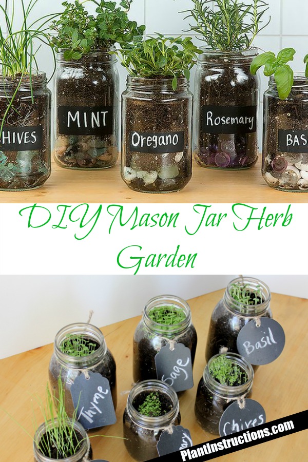 Mason Jar Herb Garden