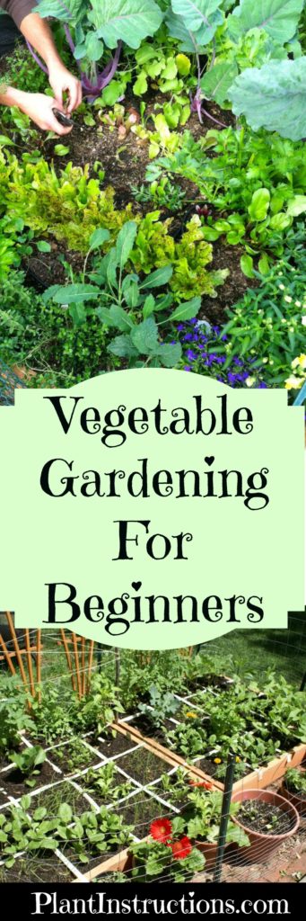 free download gardening for beginners