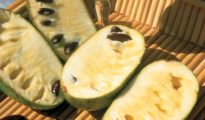 How to Grow Pawpaw Fruits
