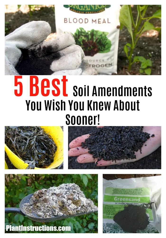 Best Soil Amendments