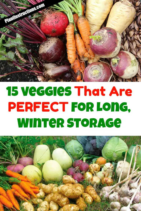 best storage crops
