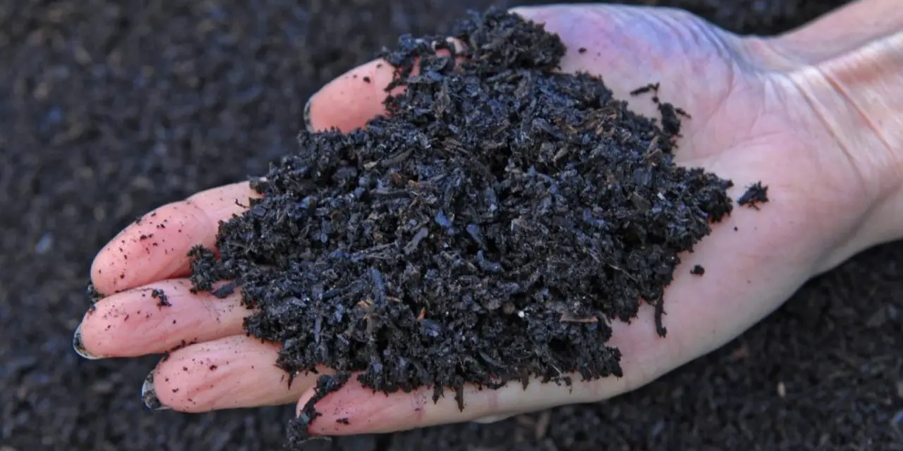 5 Best Soil Amendments You Wish You Knew About Sooner!