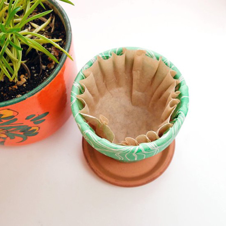 coffee filter in garden