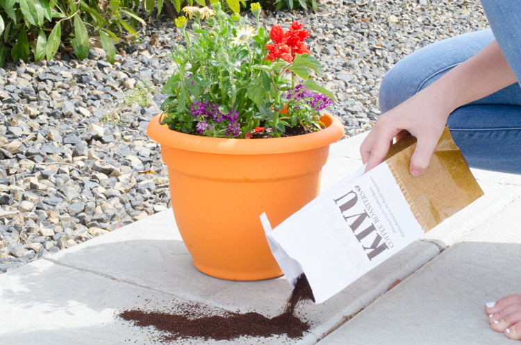 coffee grounds to deter pests