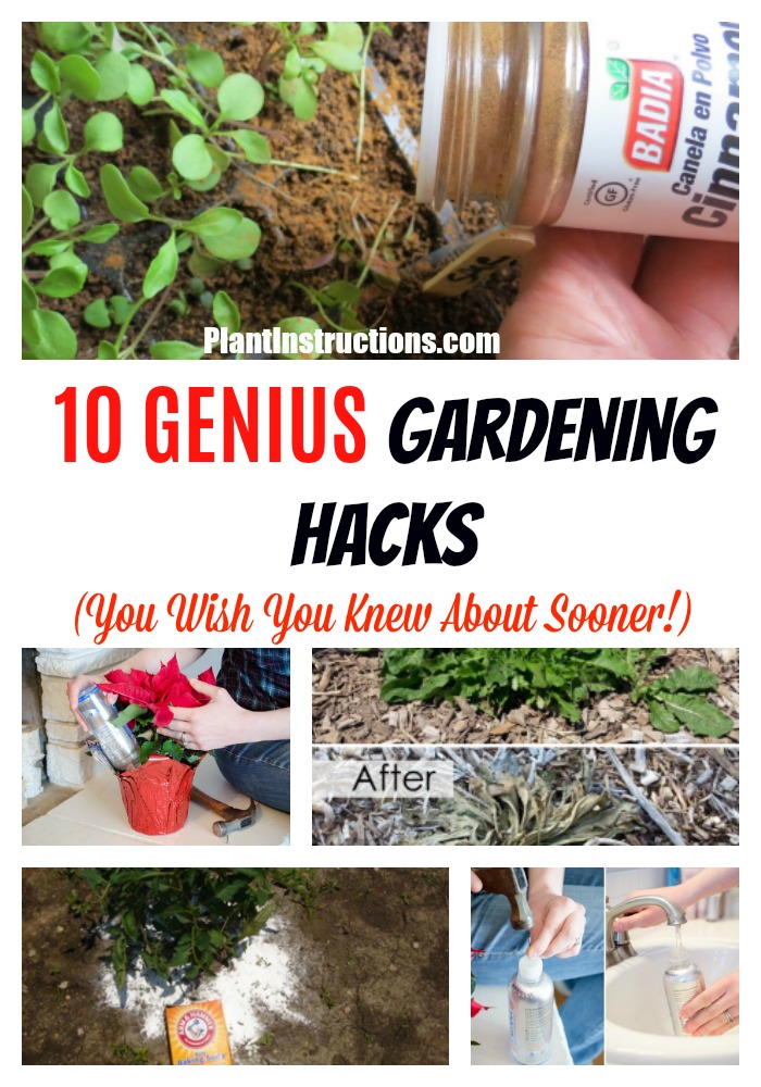 gardening tricks