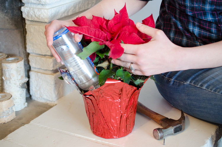 plant watering trick