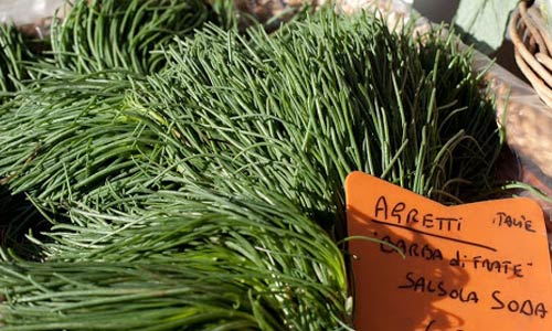 agretti herb